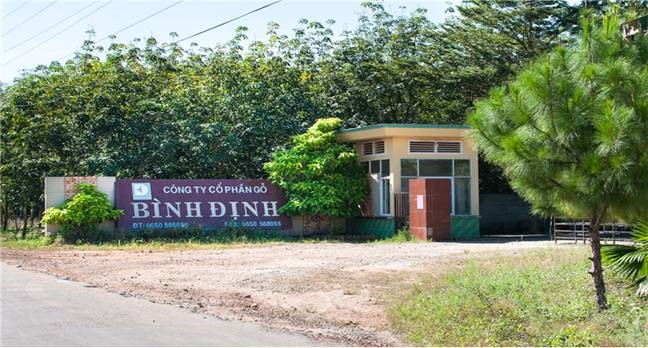 Công ty Gỗ Bình Định: Cải thiện điều kiện làm việc là văn hóa doanh nghiệp