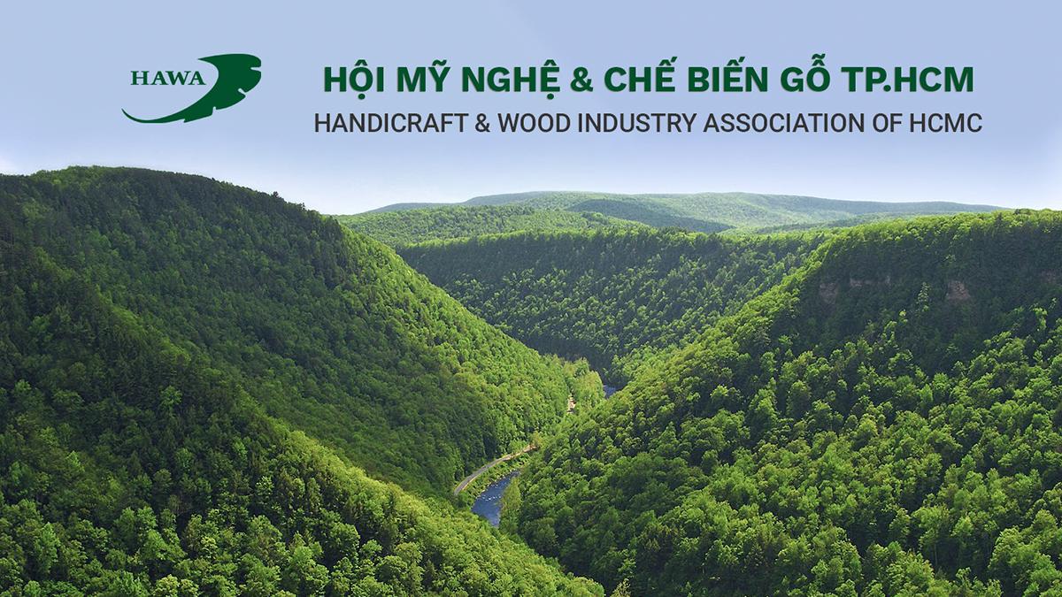 Video: Giới thiệu hội Mỹ Nghệ và Chế biến gỗ TP.HCM