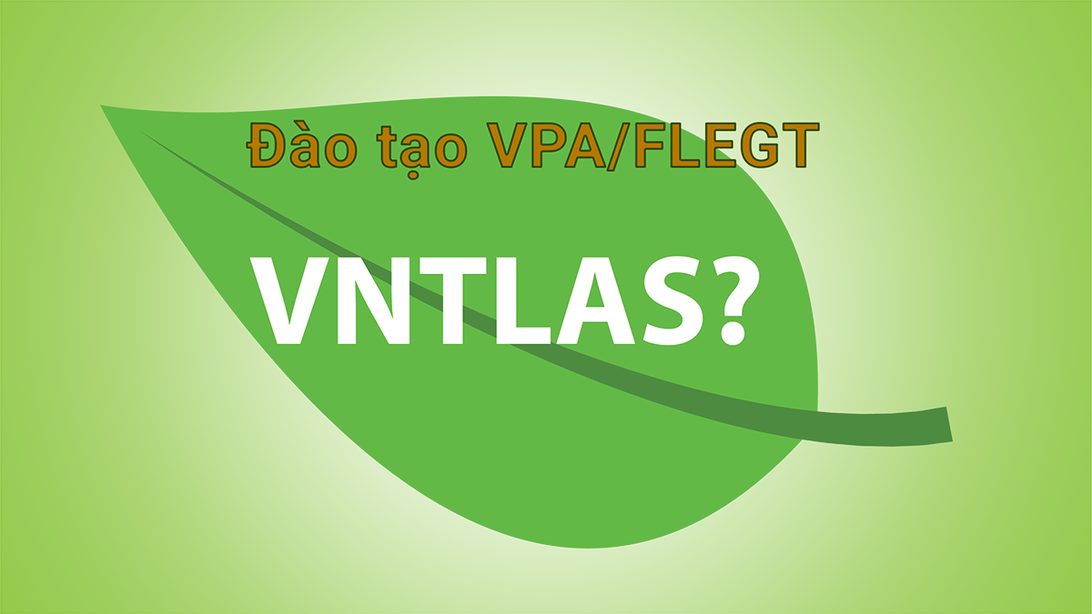 Đào tạo chuyên sâu VPA/FLEGT - Hệ thống đảm bảo gỗ hợp pháp của Việt Nam (VNTLAS)