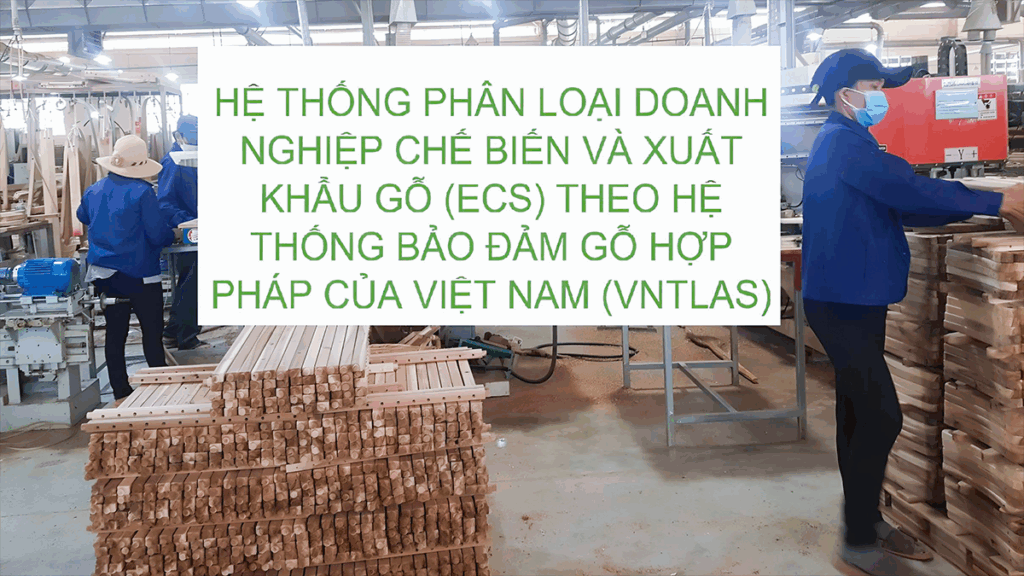 Hệ thống Phân loại Doanh nghiệp Chế biến và Xuất khẩu gỗ (ECS) theo hệ thống bảo đảm gỗ hợp pháp của Việt Nam (VNTLAS)