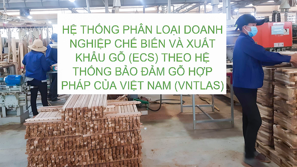 Hệ thống Phân loại Doanh nghiệp Chế biến và Xuất khẩu gỗ (ECS) theo hệ thống bảo đảm gỗ hợp pháp của Việt Nam (VNTLAS)