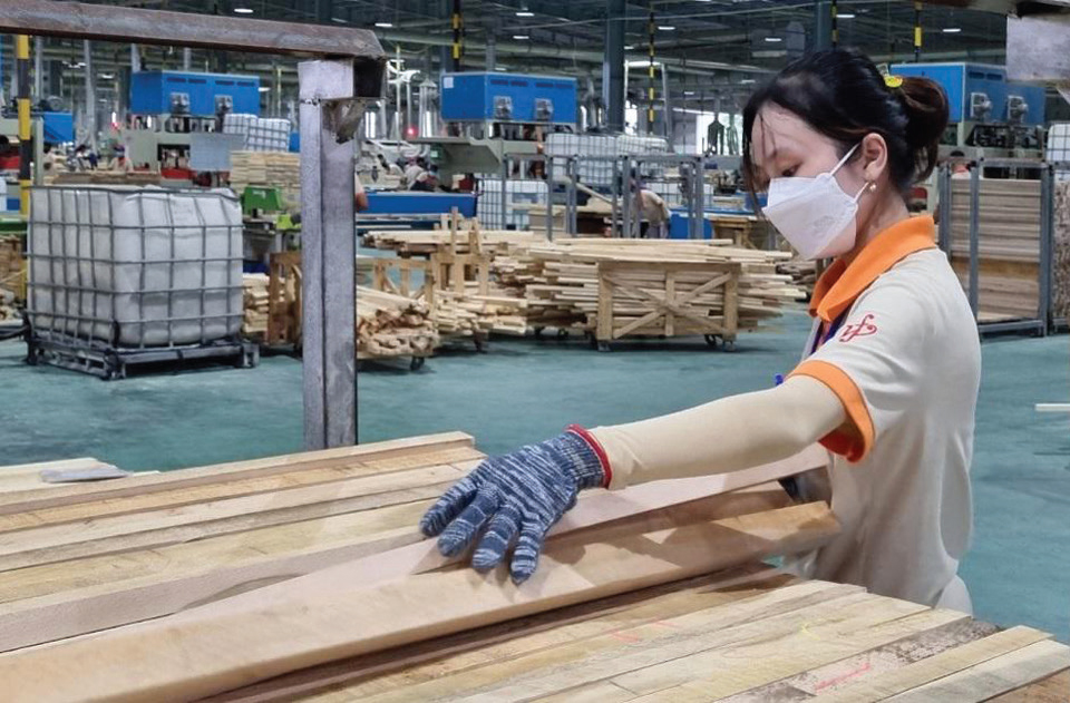 Xuất khẩu giảm mạnh, ngành gỗ tăng cường xúc tiến vào các thị trường tiềm năng 2 06 giai phap ho tro DN2