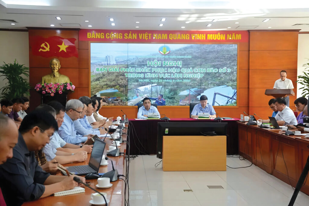 14 Quy Dong long khac phuc hau qua thien tai 1