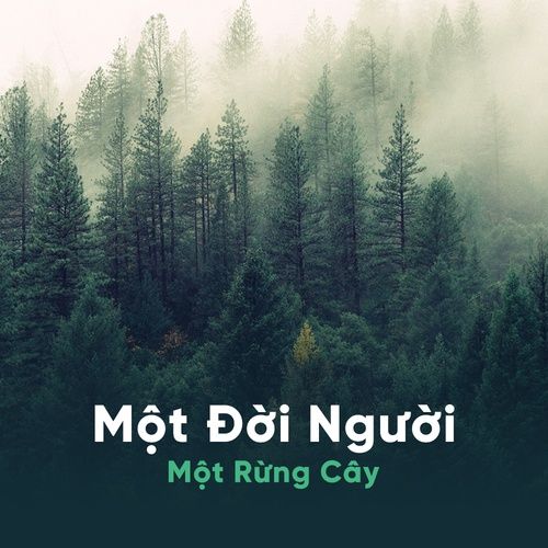 Đời Người - Rừng Cây 1 1537866209756 500