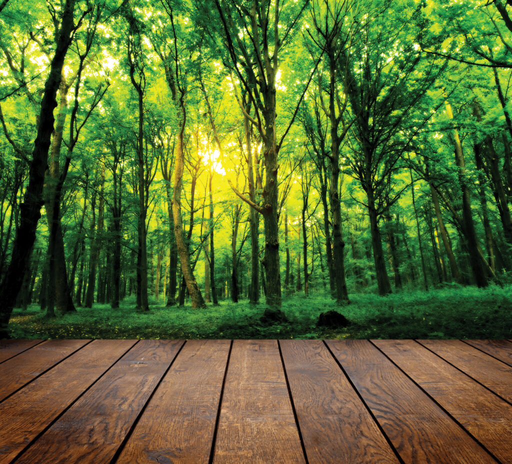 Green transformation by water-based wood coatings 16 16 Chuyen doi xanh