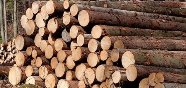Dự báo tiêu thụ gỗ ngoài trời tại EU tăng trưởng tích cực 4 1653387767 Ger