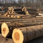 1656930915_Nga-BD-1024x534-1