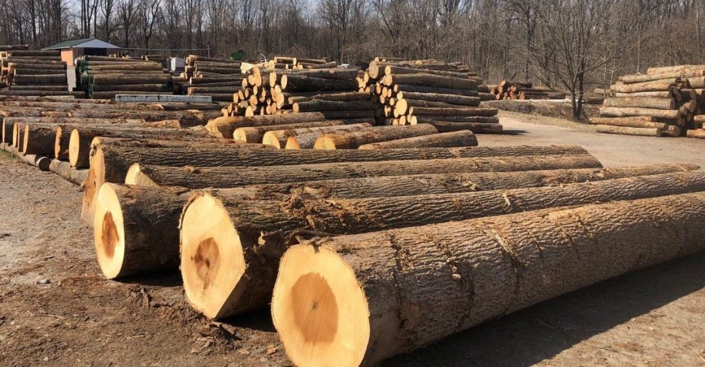 North America lumber supply strain to flare up on Russia timber ban 5 1656930915 Nga BD 1024x534 1