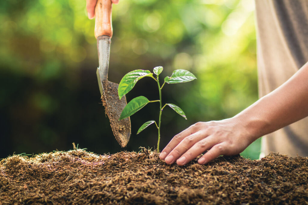 Bà Phạm Thu Thủy - đại diện Trung tâm Nghiên cứu Lâm nghiệp Quốc tế (CIFOR) và Đại học Adelaide, Úc: “Vàng khối” ở rừng 1 31 Ba Pham Thu Thuy dai dien CIFOR 1