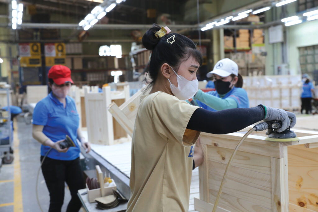 Ông Trần Quang Bảo - Cục trưởng Cục Lâm nghiệp Việt Nam: Chủ động liên kết, gia tăng vị thế ngành 1 7 Ong Tran Quang Bao 1 NQH 5108