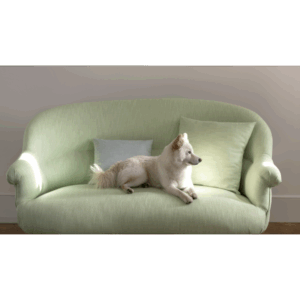 ACACIA FABRICS 3 1