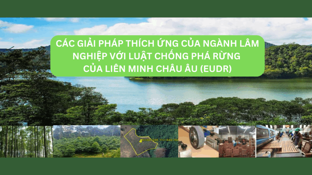 Các giải pháp thích ứng của ngành Lâm nghiệp với Luật chống phá rừng của Liên Minh Châu Âu (EUDR) 1 EUDR