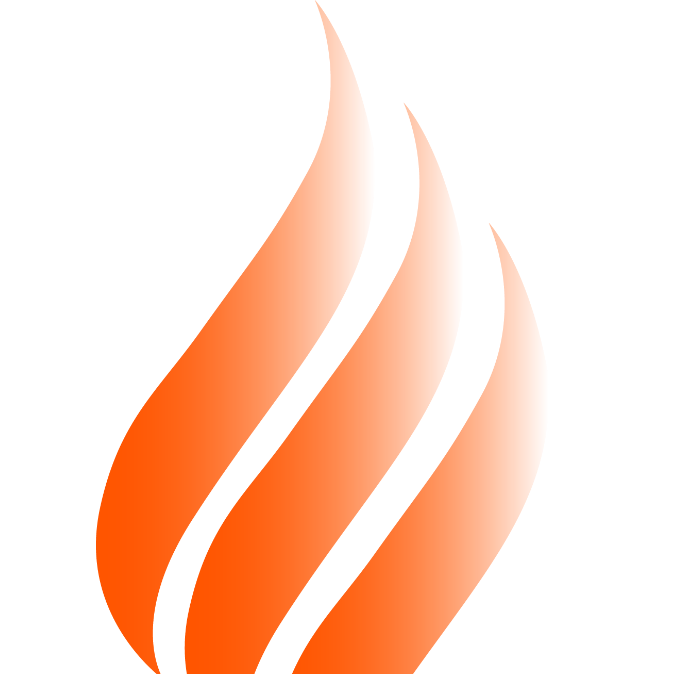 Ng n l a m i logo