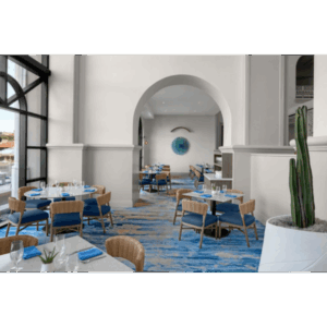SEN DECOR 4