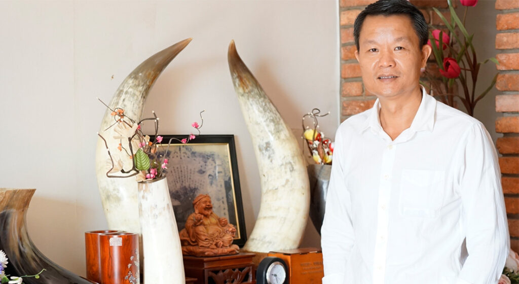 Sừng trâu làm nên thương hiệu Tư Duy 1 a tu tu duy hawa