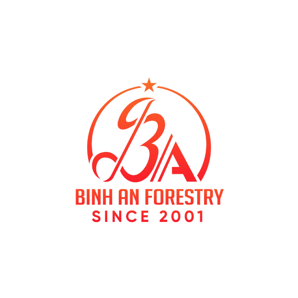 binh an logo