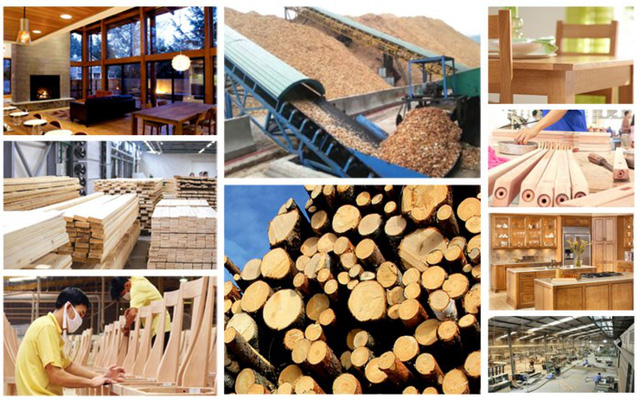 Thủ tướng chính phủ phê duyệt Đề án phát triển ngành công nghiệp chế biến gỗ giai đoạn 2021 - 2030 1 cbien go 16469016776881908382650