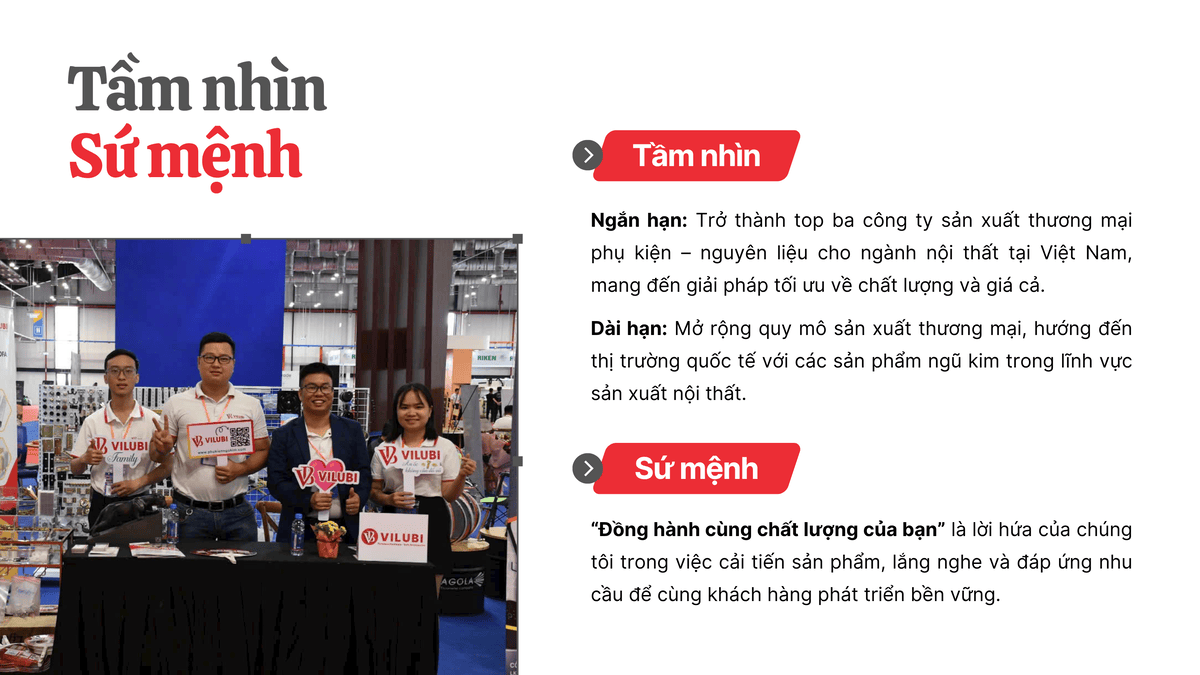cong ty tnhh vilubi 4