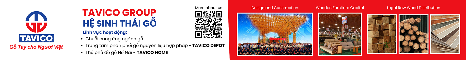 quang cao hom tavico group 1