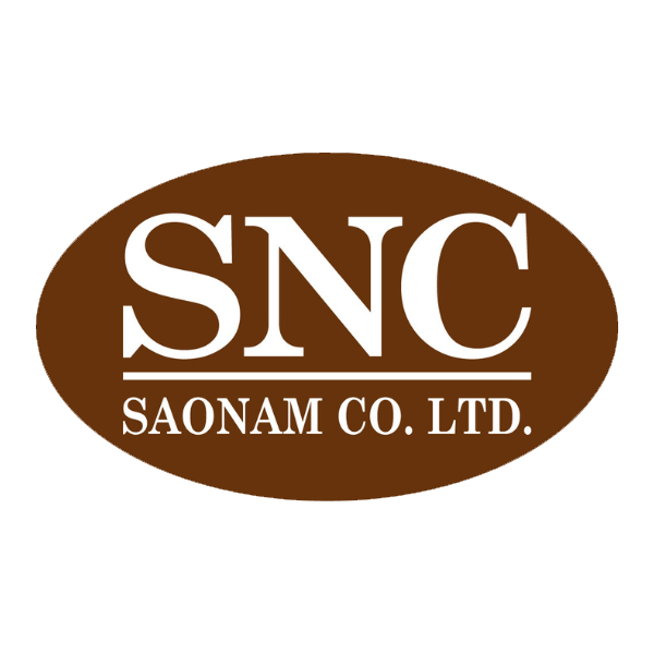 sao nam logo