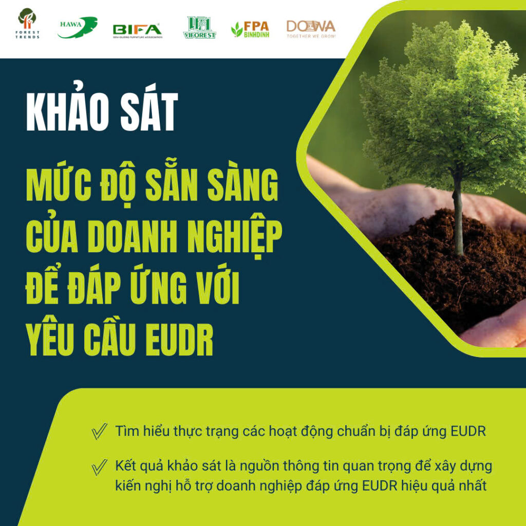 Khảo sát mức độ sẵn sàng của doanh nghiệp để đáp ứng yêu cầu EUDR 8 z5755017875055 b15a35b442ad4218db426a408742add0