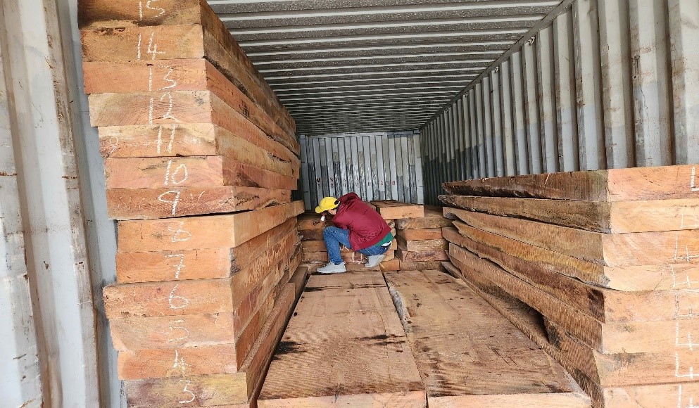 Vn-WoodId – Giải pháp nhận diện gỗ nhanh, hiện đại dựa trên cơ sở dữ liệu cấu tạo thô đại 2 Vn-WoodId – Giải pháp nhận diện gỗ nhanh, hiện đại dựa trên cơ sở dữ liệu cấu tạo thô đại
