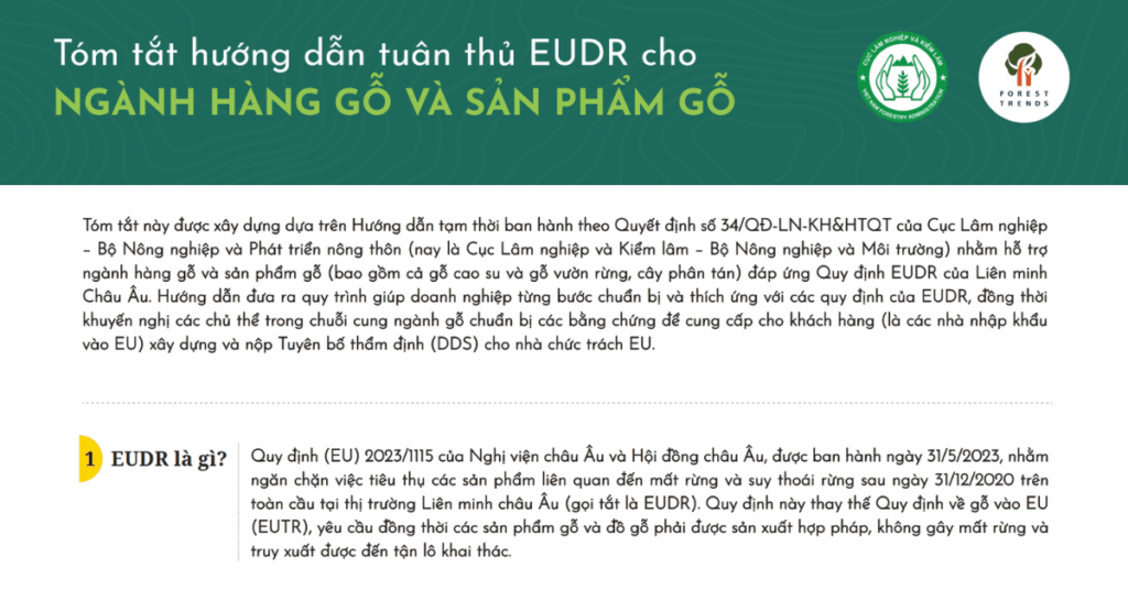Tóm tắt Hướng dẫn tuân thủ EUDR cho Ngành hàng Gỗ và Sản phẩm Gỗ 1 tom-tat-huong-dan-tuan-thu-eudr-cho-nganh-hang-go-va-san-pham-go