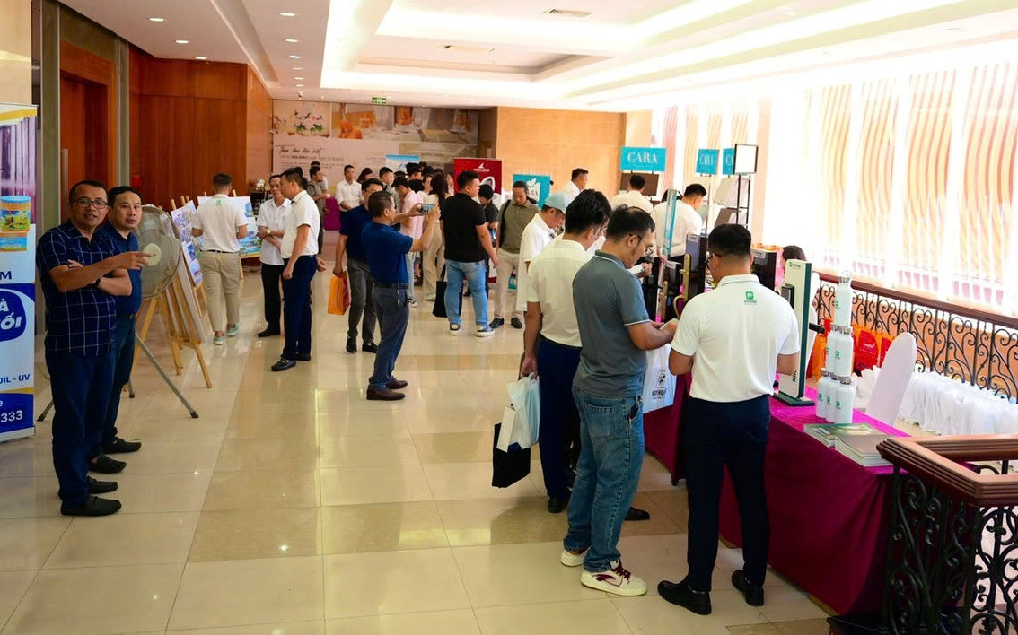 Tự cường trên dòng chảy xu hướng: Góc nhìn từ Mộc Kết 5 4 Tự cường trên dòng chảy xu hướng: Góc nhìn từ Mộc Kết 5