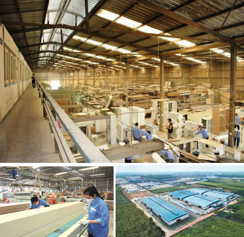 An Cường: 31 năm hành trình kiên định và tiên phong nâng phong nâng tầm ngành gỗ Việt