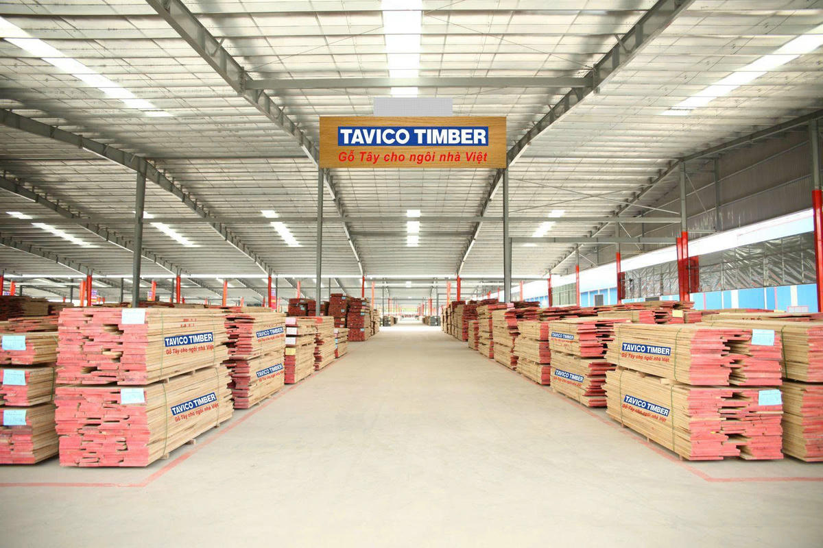TAVICO GROUP – Cầu nối gỗ Việt Nam ra thế giới