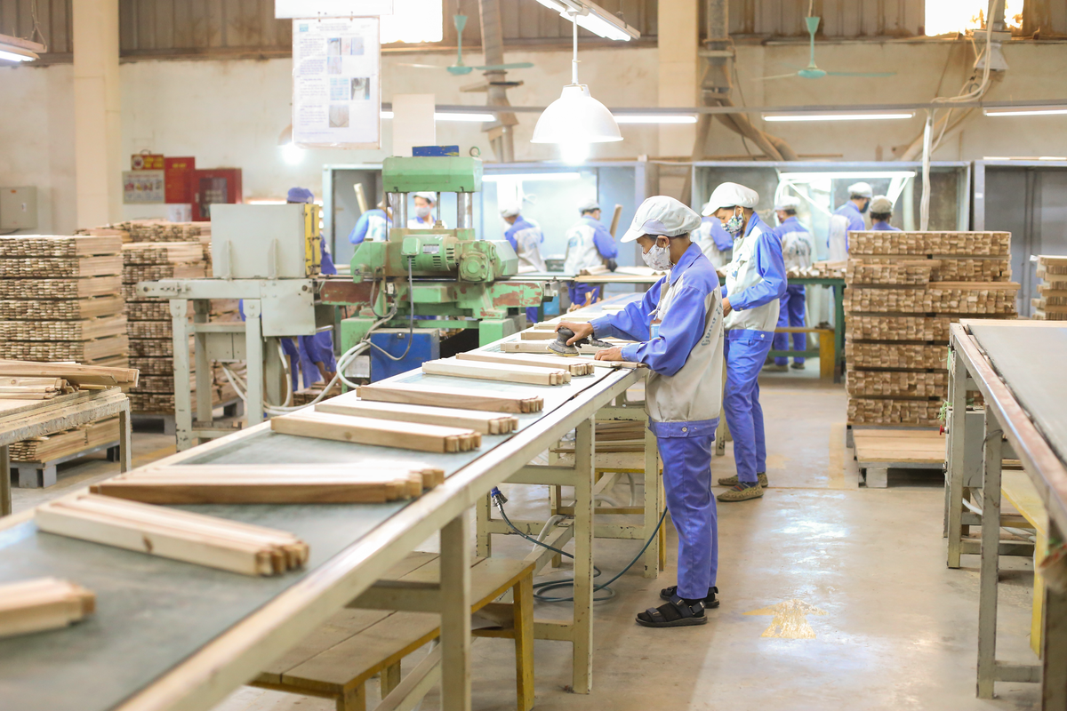 Woodsland – Kiên cường vươn tầm toàn cầu với giá trị bền vững