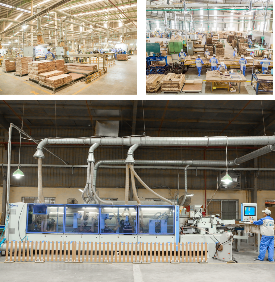 Woodsland – Kiên cường vươn tầm toàn cầu với giá trị bền vững