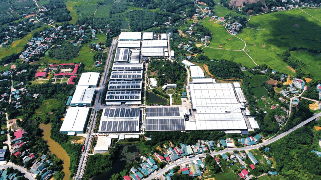 Woodsland – Kiên cường vươn tầm toàn cầu với giá trị bền vững