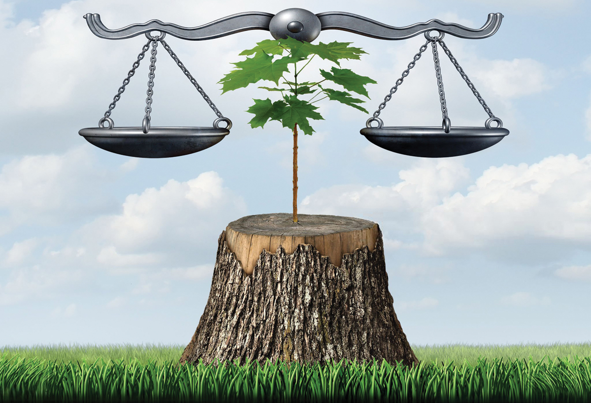 Environment law and nature resources legal action concept as a justice scale supported by a sapling on a chopped tree as a protection of habitat and ecology with 3D illustration elements.