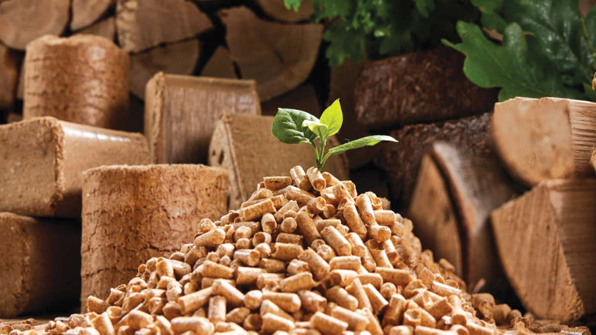 Ground level of green leaf on pyramid of pellets placed near stack of chopped firewood of various types and biomass briquettes in daylight