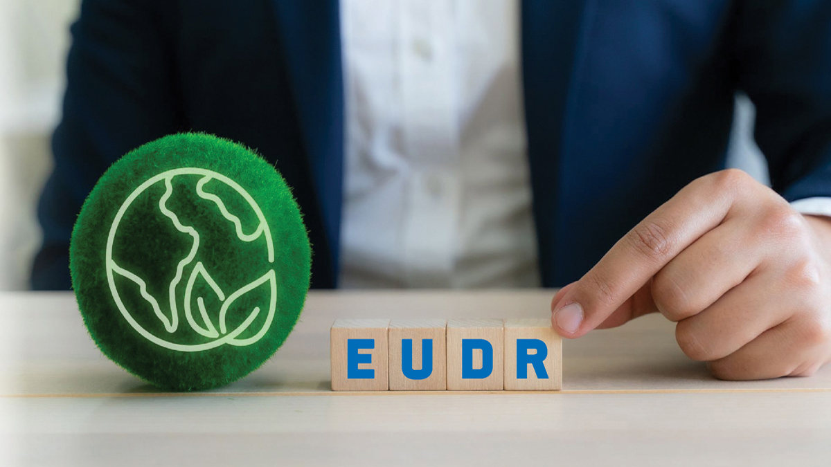 EUDR tiếp tục hoãn