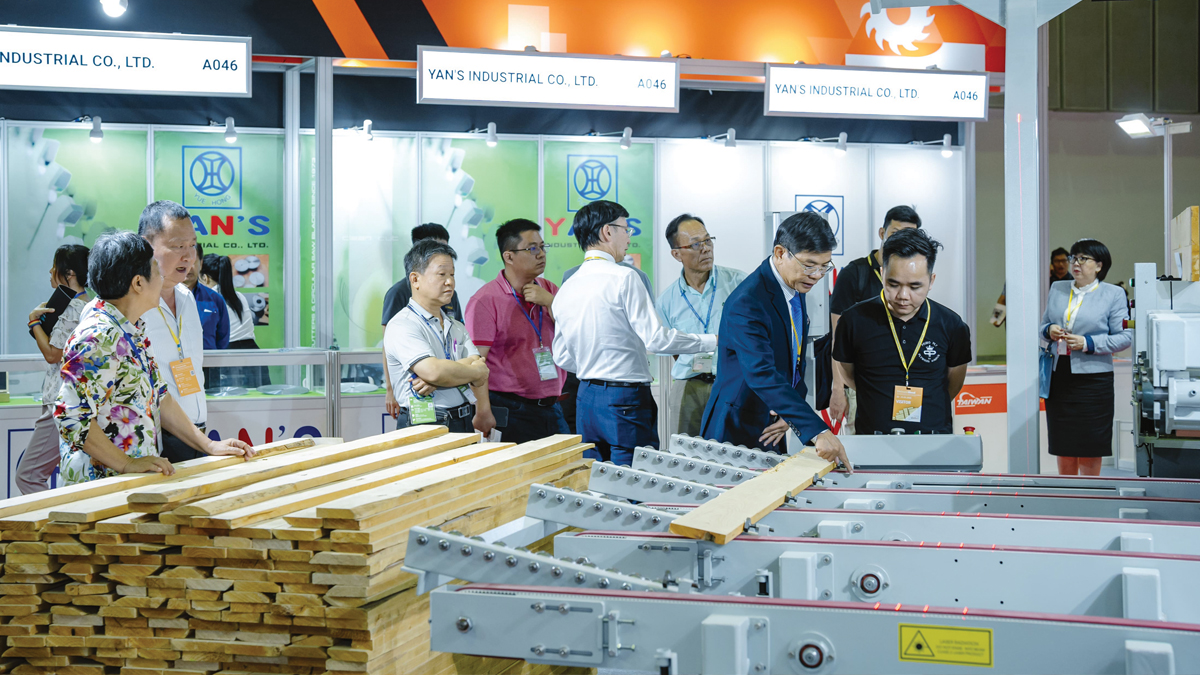 Ground level of green leaf on pyramid of pellets placed near stack of chopped firewood of various types and biomass briquettes in daylight