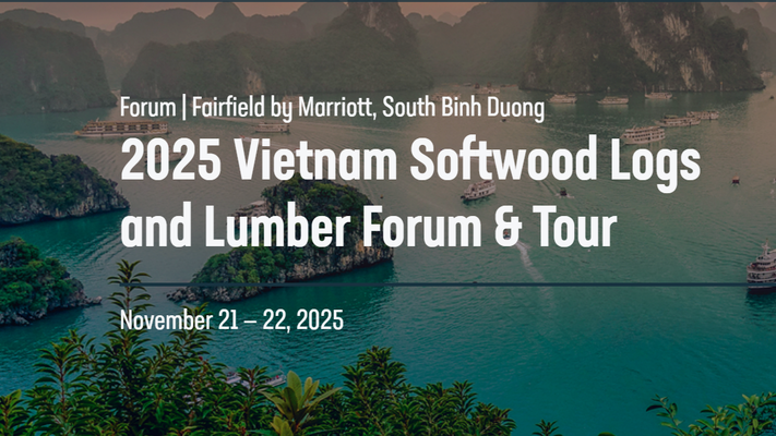 FEA Vietnam Softwood Forum 2025 – Tăng cường hợp tác, thúc đẩy tương lai ngành gỗ mềm Việt Nam