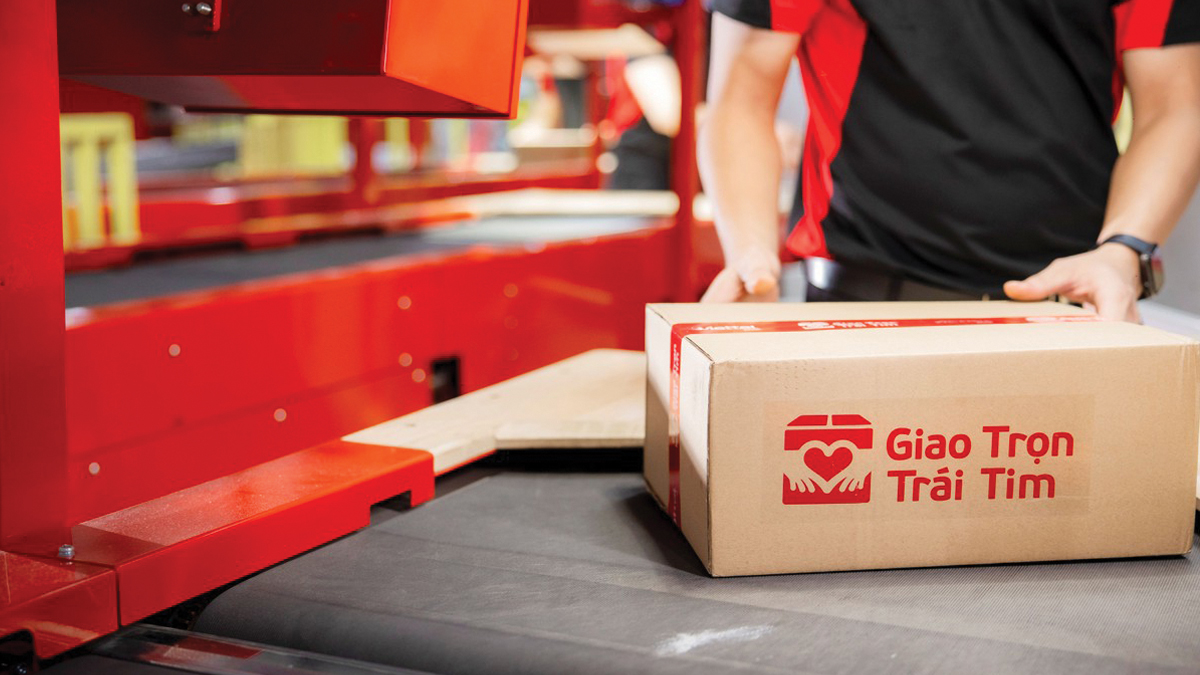 Ground level of green leaf on pyramid of pellets placed near stack of chopped firewood of various types and biomass briquettes in daylight