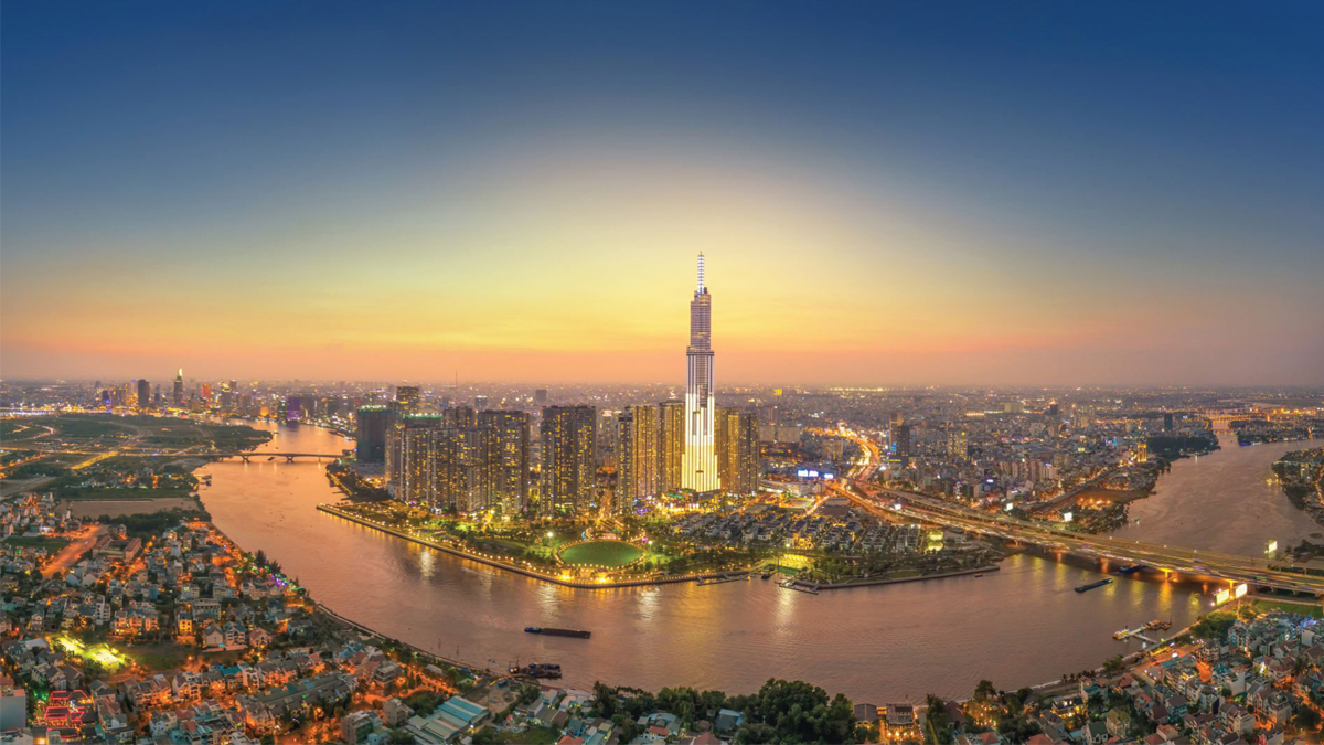 Ground level of green leaf on pyramid of pellets placed near stack of chopped firewood of various types and biomass briquettes in daylight