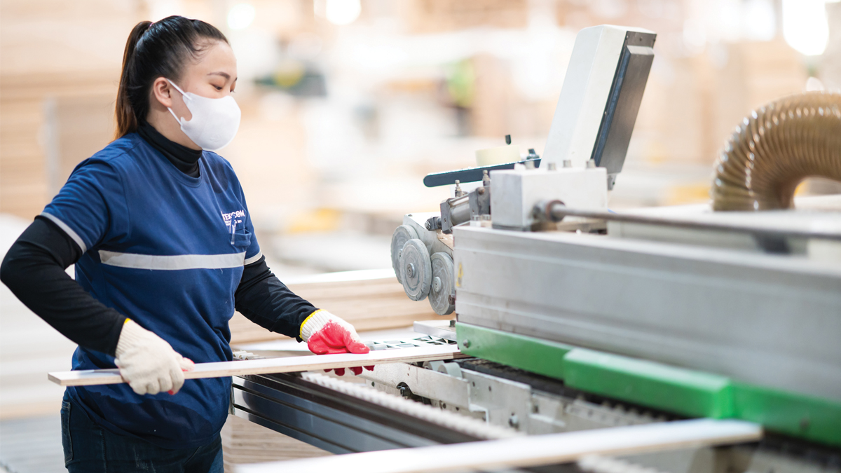 Ground level of green leaf on pyramid of pellets placed near stack of chopped firewood of various types and biomass briquettes in daylight