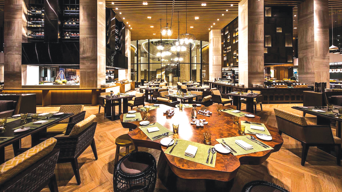 Ground level of green leaf on pyramid of pellets placed near stack of chopped firewood of various types and biomass briquettes in daylight