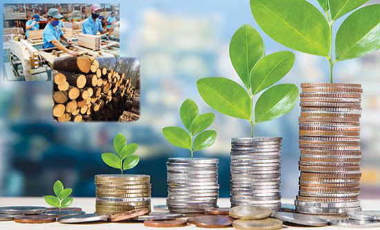 Thông tin chính sách ngành Gỗ - Quyền lợi Hội viên HAWA