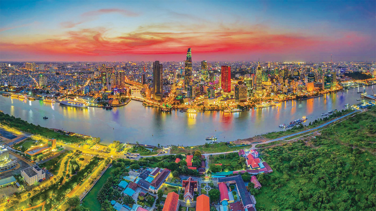 Ground level of green leaf on pyramid of pellets placed near stack of chopped firewood of various types and biomass briquettes in daylight