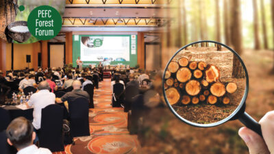 A magnifying glass focusing on wood logs chopped in a forest