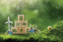 sustainable green building environmentally friendly buildings Future green business idea Environmental sustainability target. Green building icon on wooden blocks with 3D statue on green background.