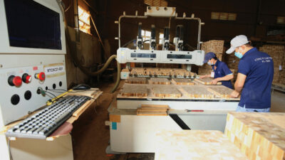 2-Lay-lai-da-tang-truong-1