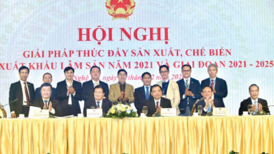 2-Tao-nen-tang-de-nganh-go-tu-cuong-1