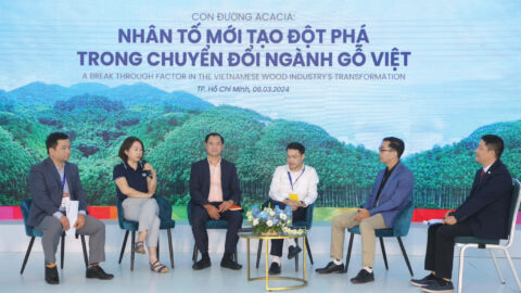 25-ACACIA-Nhan-to-doi-moi-nganh-go-Viet-1