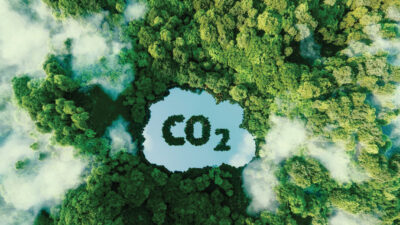 28-Thi-truong-tin-chi-carbon-1